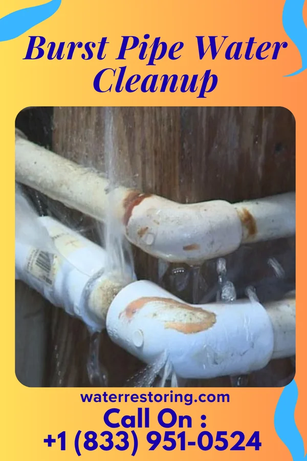 Burst Pipe Water Cleanup in Oakdale, IL