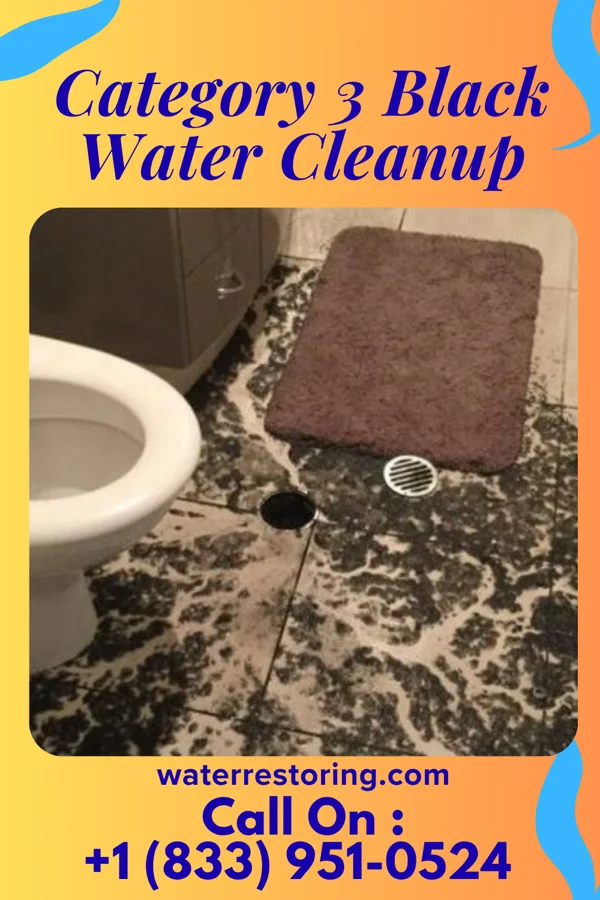 Category 3 Black Water Cleanup in Oakdale, IL
